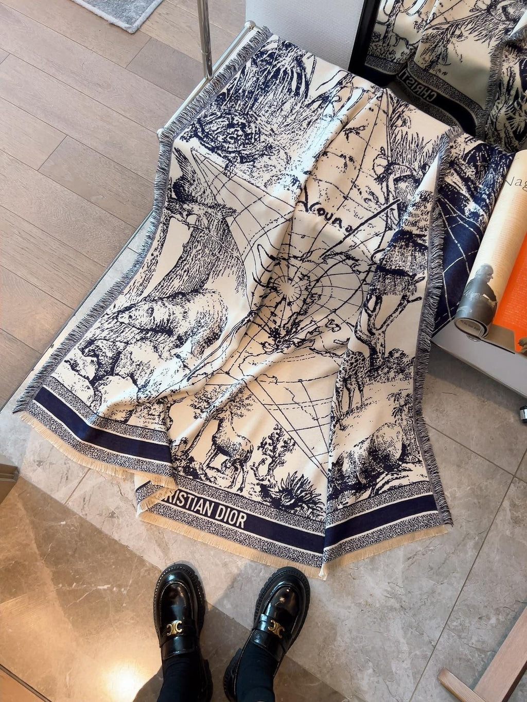 Dior Scenic Print Shawl