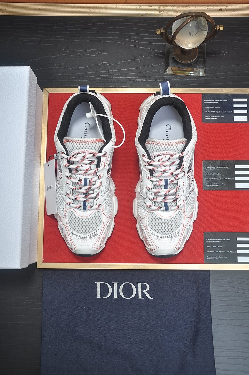 Dior Paneled Low-Top Sneakers
